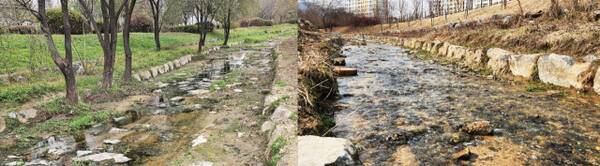 건천화돼 물이 마른 호매실천(전)과 황구지천 하수처리수 재이용 사업으로 수량이 늘어난 모습(후) 비교. 수원시 제공