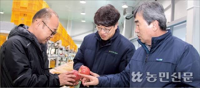 경북 영주농협 남정순 조합장(오른쪽부터), 박소설 부석지점 경제사업 팀장, 심성찬 사과공선출하회장이 부석지점 농산물산지유통센터(APC)에서 사과를 살펴보고 있다.