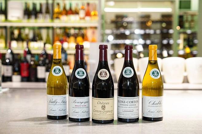 루이 라뚜르 와인 연출 이미지 ⓒ아영FBC