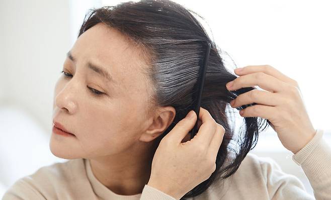 사진= 게티이미지뱅크