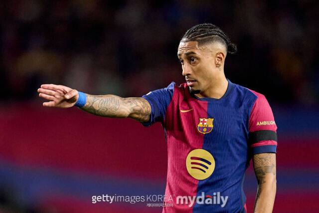 하피냐. /게티이미지코리아