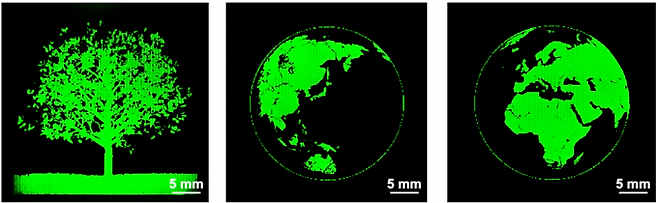 중국 저장대 연구팀이 개발한 초소형 LED 디스플레이로 출력한 이미지. Nature 제공.