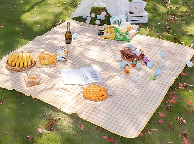 피크닉 방수 돗자리 매트