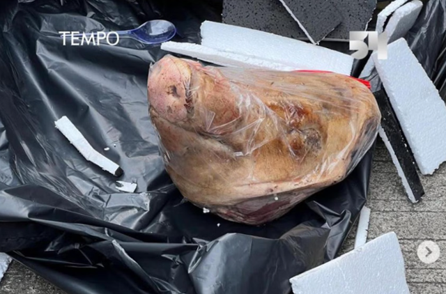 20일 인도네시아 자카르타에 위치한 시사 주간 '템포' 사무실로 배송된 돼지 머리. 이 매체와 기자가 정부에 비판적 목소리를 내자 보복을 위해 보낸 것으로 추정된다. 템포 인스타그램 캡처