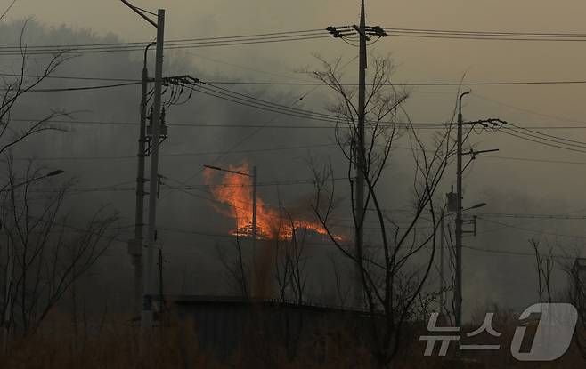 25일 오전 11시 54분께 울산시 울주군 언양읍 송대리 화장산에서 발생한 불이 4시간 이상 불길이 잡히지 않고 있는 가운데, 인근에는 뿌연 연기가 자욱하고 강한 바람이 계속되고 있다. 소방당국은 대응 1단계를 발령한 상태다.2025.3.25/뉴스1 ⓒ News1 김지혜 기자