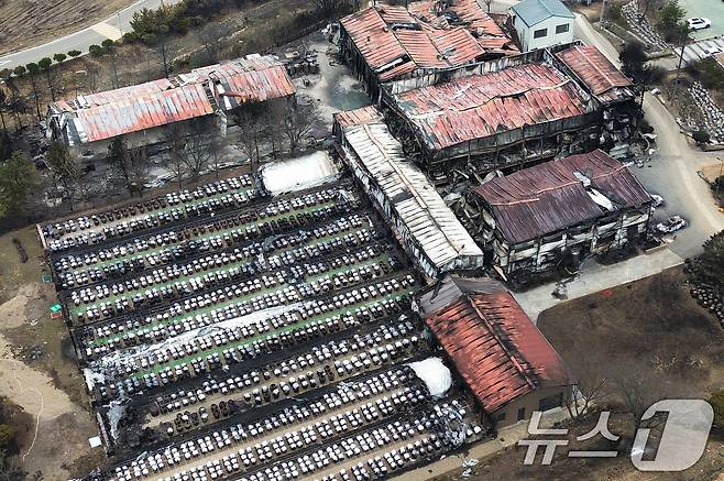 27일 오후 경북 청송군 파천면에서 전통 방식으로 장류를 생산하는 업체가 불에 타 폐허로 변해 있다. 청송군에 따르면 연간 320톤의 장류를 생산하는 이곳에 산불이 번져 평균 200㎏의 장류가 담긴 3000여 개의 항아리를 비롯해 숙성실·가공실·원료창고 등 장류 생산에 필요한 중요시설 3752㎡(1134.98평)가 전소돼 피해액만 100억 원이 넘는 것으로 추산된다. 2025.3.27/뉴스1 ⓒ News1 공정식 기자