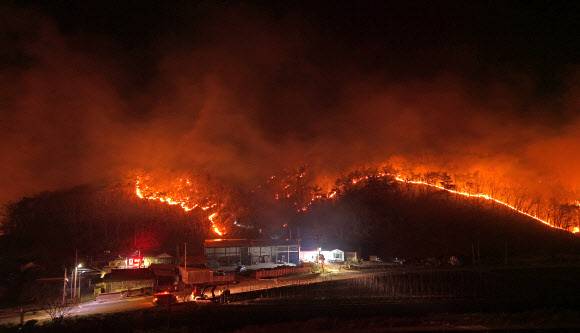 전날인 26일 밤 경북 의성군 옥산면 신계2리 기룡산에서 민가 방향으로 산불이 번지고 있다. 뉴시스