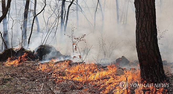 산림 태우는 불길 (울산=연합뉴스) 김용태 기자 = 울산시 울주군 온양읍 산불 닷새째인 26일 불길이 산림을 태우고 있다. 2025.3.26 yongtae@yna.co.kr