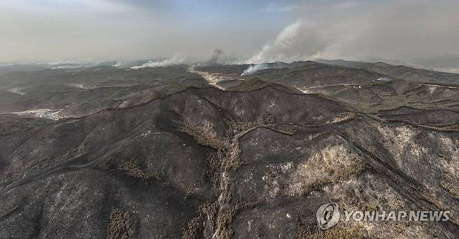 경북 산불로 폐허가 된 경북 산림.