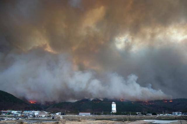 25일 경북 안동 전역에 강풍이 불면서 산불이 급속도로 확산하고 있다. 안동=뉴스1
