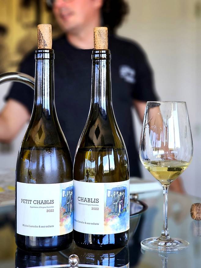 르 도멘 당리 쁘띠샤블리와 샤블리. 최현태 기자