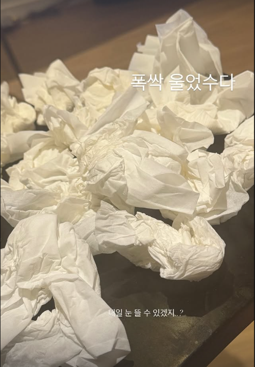 채령 인스타그램 캡처.