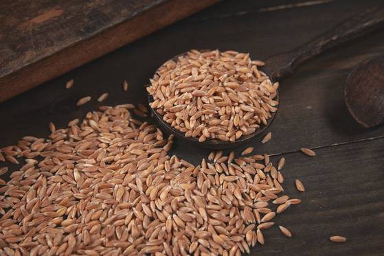 최근 셀럽들의 건강 관리 비결로 소개되며 주목받은 파로. 당 함량은 낮고 저항성 전분은 풍부하다고 알려지면서 찾는 사람이 늘고 있다. 사진 그레인온