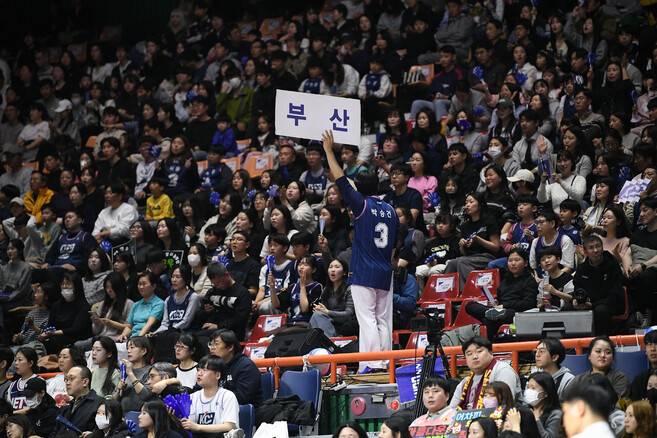부산 케이씨씨(KCC)는 관중 동원율도 정규리그 1위 팀 서울 에스케이(SK)에 이어 2위를 차지했다. 정규리그 1~5라운드 기준. 한국농구연맹 제공