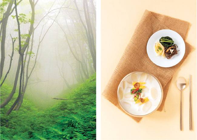 산야에서 흔히 볼 수 있는 고사리는 명절 음식 등 한식의 주요 재료이지만, 서양에서는 ‘악마의 풀’로 부르며 독초로 여긴다. 게티이미지뱅크