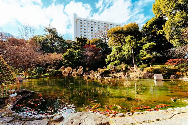 일본식 정원에서는 커다란 연못에 잉어들이 자유롭게 헤엄친다