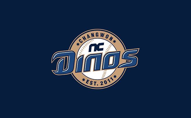 NC 구단과 창원시, 창원시설공단은 3일 정확한 사고 원인 규명과 재발방지 대책을 마련하고자 합동 대책반을 구성했다. NC 다이노스