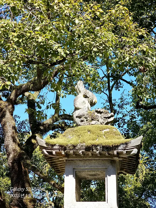 7fed8273b5836af051ee87e14e847473d5874fa54b8bb2255573175fa138d61c4a