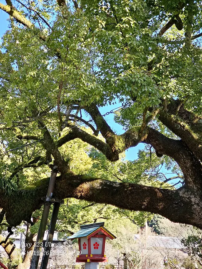 7fed8273b5836af051ee87e14f80757331cc0be8358dc2dac73b6f299578d7d166