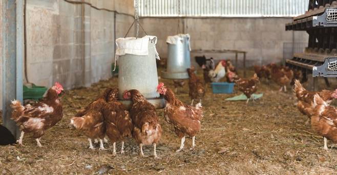 게티이미지뱅크 제공