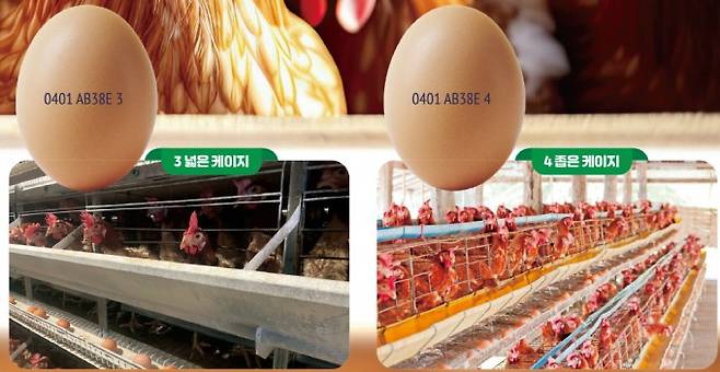 달걀 난각번호(3-4)의 의미. 게티이미지뱅크 제공