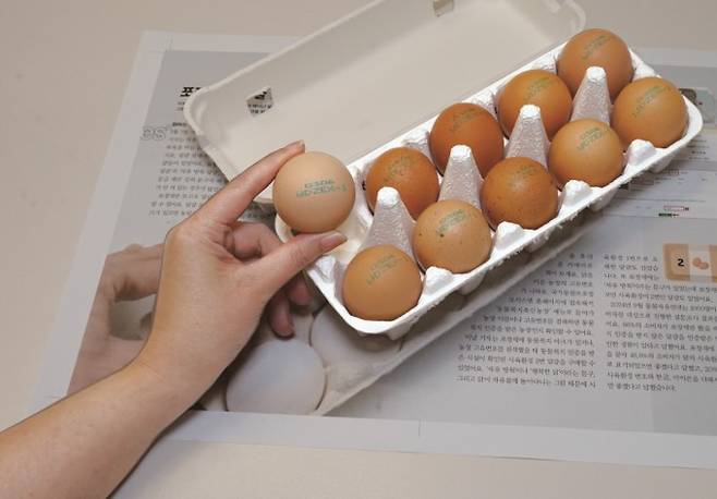 사육환경 번호가 1번인 달걀. 유기농 마켓에서 포장재에 1번이 쓰여 있는 달걀을 찾을 수 있었다. 어린이과학동아 제공