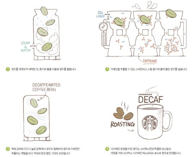 스타벅스의 카페인 추출 방식./사진=스타벅스코리아
