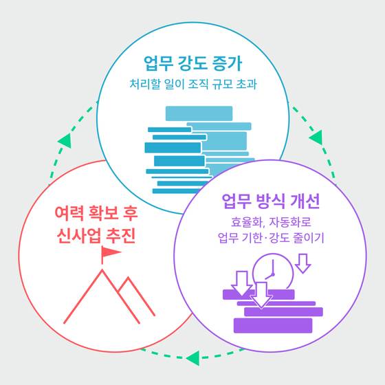 조직의 성장 사이클. 사진 폴인