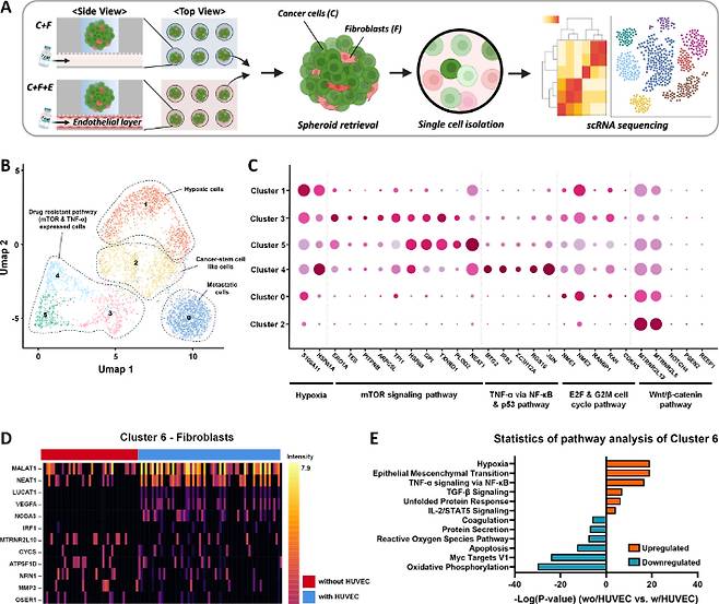 ODSEI 칩에서 회수한 스페로이드 단일세포 분석을 통한 약물 내성 규명 과정. UNIST 제공