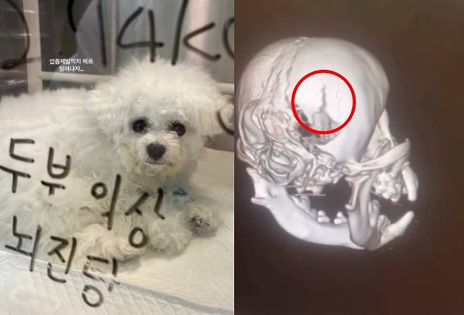 (SNS 갈무리)