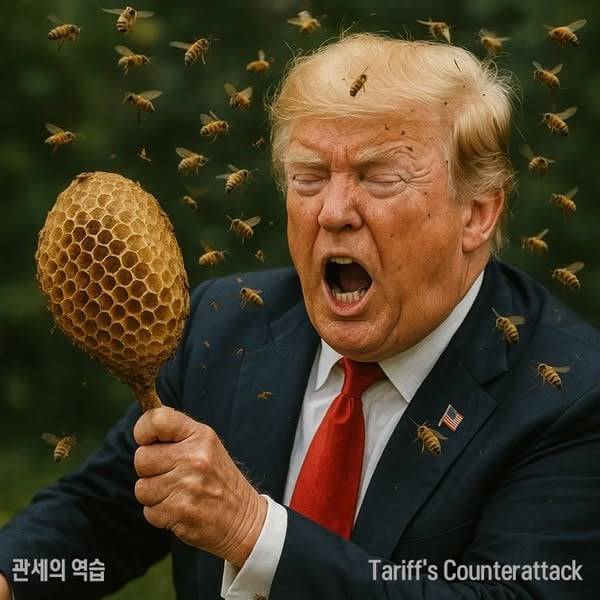 ⓒ이문도