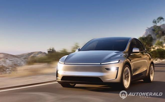 테슬라 모델 Y. (테슬라)