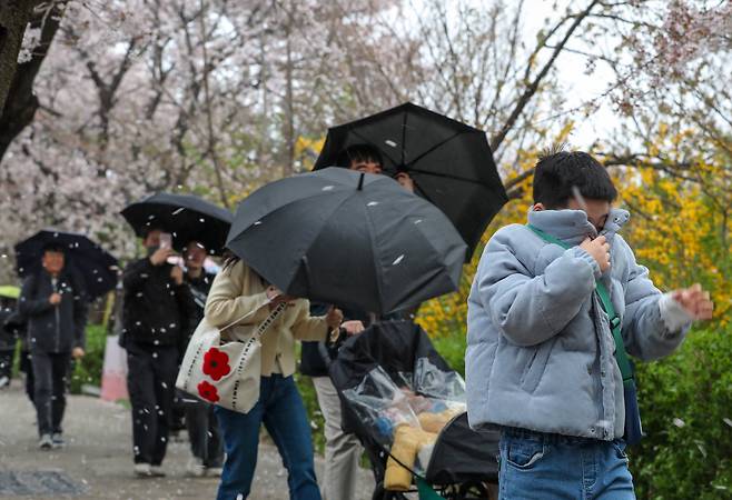 강풍을 동반한 봄비가 내린 13일 오전 서울 여의도 윤중로에서 시민들이 강한 비바람에 몸을 움츠리고 있다. /박성원 기자