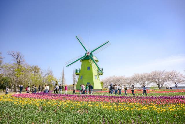 . 순천만국가정원. 지난 13일(이날 하루 기준) 순천만국가정원에는 3만 명이 넘는 관람객이 다녀갔다. 사진 제공=순천시