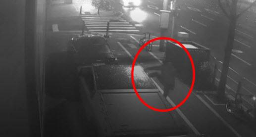 서울 강남구 논현동에 주차된 사이버트럭의 조수석 쪽 사이드미러를 파손하고 있는 한 남성.(사진=뉴시스)