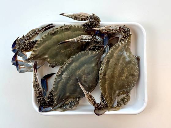 꽃게는 봄에 살이 차오르는 제철 식재료 중 하나다. 사진 이정웅