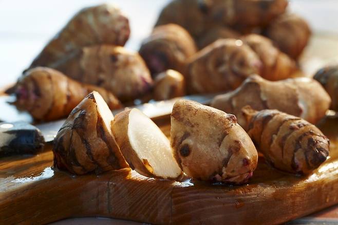 돼지감자. 클립아트코리아 제공