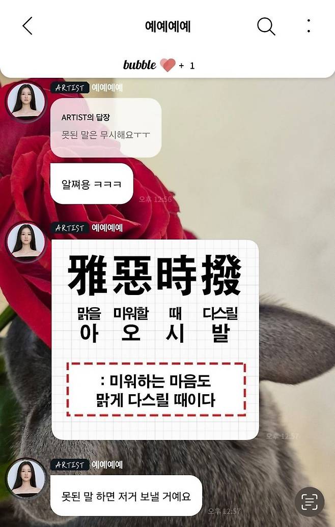 사진|버블 캡처·온라인 커뮤니티