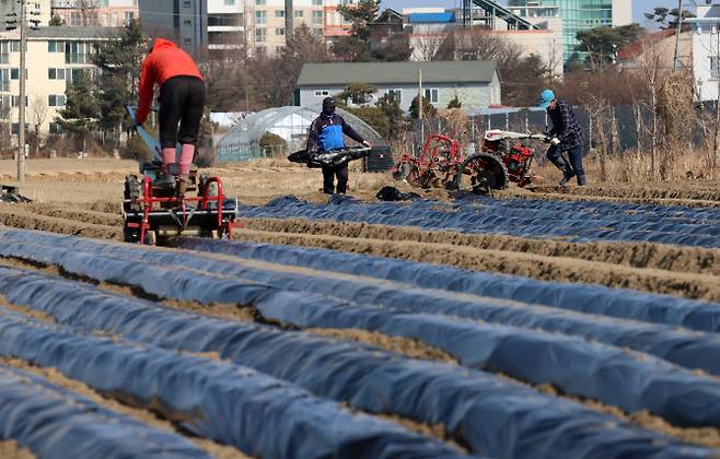 (사진=연합뉴스)