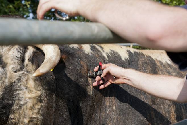 사진=게티이미지