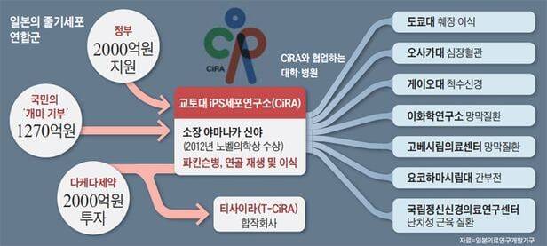 일본 줄기세포 연구 거점. /조선일보DB