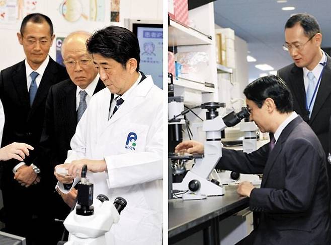 왼쪽 사진은 2013년 1월 11일 아베 신조 총리가 교토대와 손을 잡고 연구하는 이화학연구소를 방문한 모습. 줄기세포 연구로 노벨 의학상을 받은 야마나카 신야 교토대 교수, 2001년 노벨 화학상 수상자인 노요리 료지 이화학연구소 이사장이 함께했다. 오른쪽 사진은 2011년 나루히토 일본 왕세자가 교토대 iPS 세포 연구소를 방문해 현미경으로 심근세포를 보는 모습. /조선일보DB