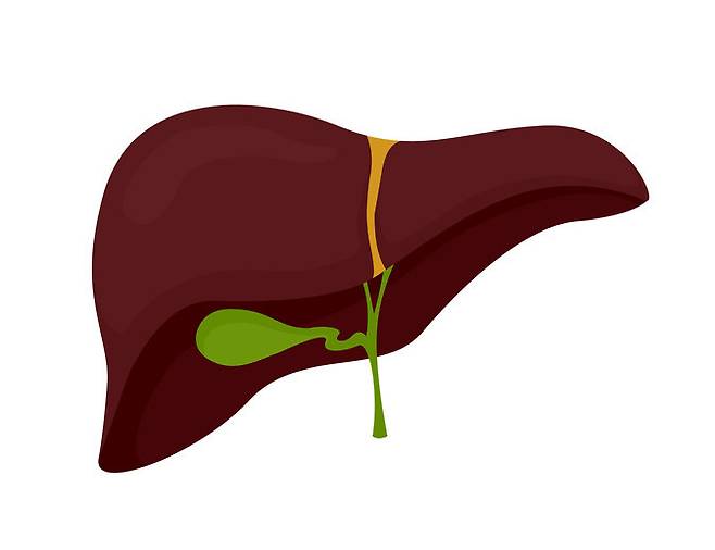 게티이미지뱅크.