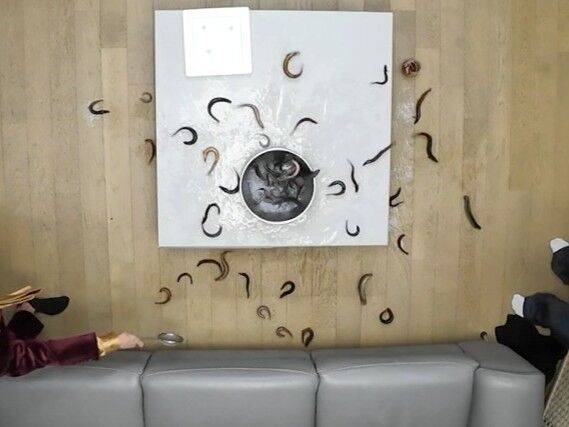 KBS 2TV '편스토랑'