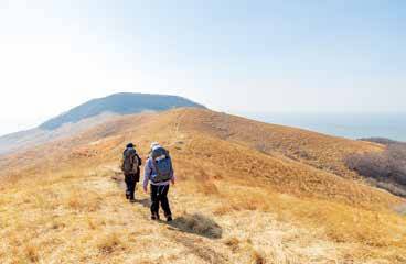 수크령 군락지로 뒤덮인 개머리언덕. 그 모습이 제주의 오름과 비슷하다.