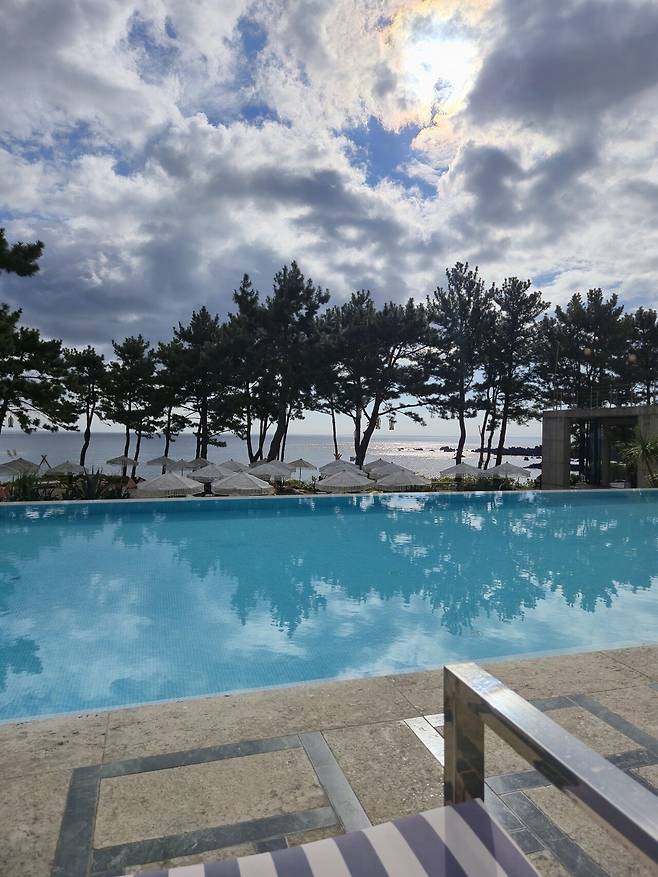 20241124_140209.jpg 제주도 카페 추천