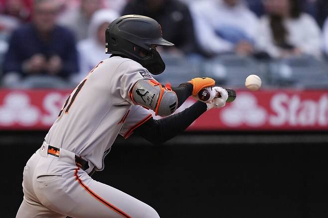 ▲ 19일(한국시간) 미국 캘리포니아주 에너하임 스타디움 오브 애너하임에서 열린 2025 메이저리그 LA에인절스와 경기에 3번 타자 중견수로 선발 출전해 3타수 2안타 1볼넷으로 경기를 마무리했다. 1회 번트 안타로 출루에 성공한 이정후 ⓒ연합뉴스/AP