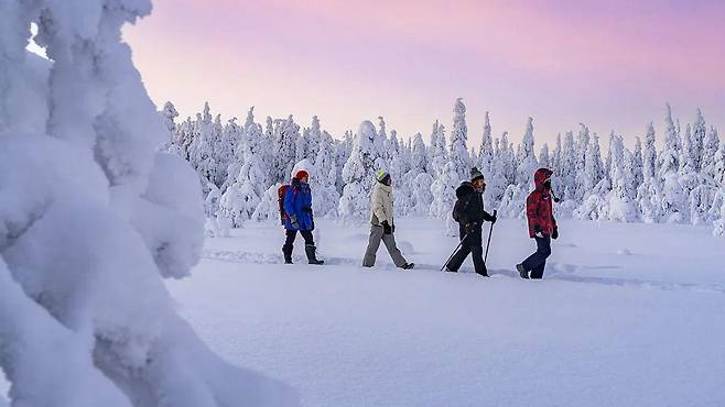 핀란드가 8년 연속 세계에서 가장 행복한 나라로 선정됐다