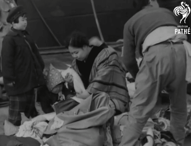 24b0d121e09c28a8699fe8b115ef046b6d6d963327