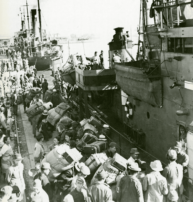 24b0d121e09c28a8699fe8b115ef046c64f12d4a99e8